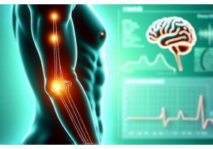 Acupuncture Points and Their Role in Healing Processes