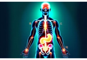 Acupuncture Guide to Detoxification and Energy Flow