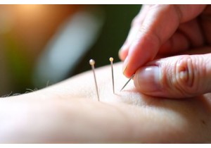 Acupuncture Guide to Digestive Health and Gut Function