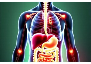 How Acupuncture Works to Support Detoxification Processes