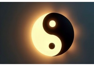 Yin Yang for Beginners Creating Rhythm in Sleep and Activity