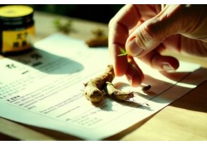 Quality Check When You Buy Chinese Herbs Online