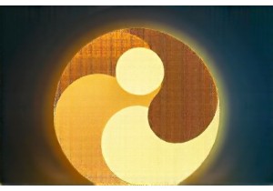 Rediscovering Ancient Wisdom in Chinese Medicine