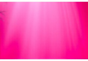 Natural Healing with Chinese Herbs What You Need to Know