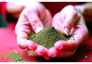 Avoid Risks with Proper Herb Safety Practices