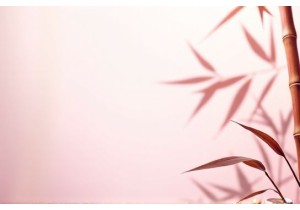 Discover the Healing Power of Tui Na Massage Therapy