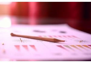 Wisdom of the East in TCM Medical Practices