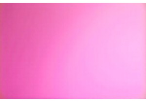 Eat with Purpose Using Foundational TCM Diet Knowledge