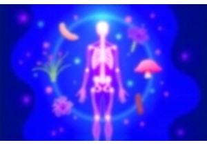 Top 10 Chinese Herbs for Immune System Support