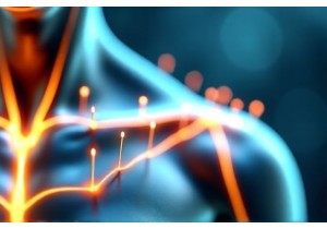 How Acupuncture Works with the Body’s Meridian System