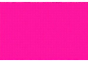 Top Chinese Herbs for Immune System Support