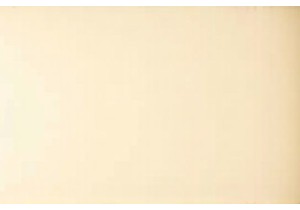 Common Medical Herbs Used in TCM Practices