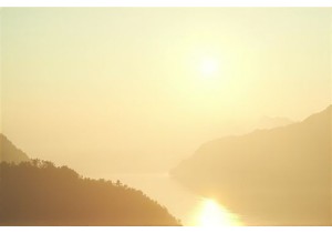 Global Conferences Advancing the Science of Traditional Medicine