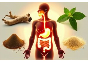 Balance the Spleen and Stomach with Herbal Remedies That Aid Nutrient Absorption Effectively