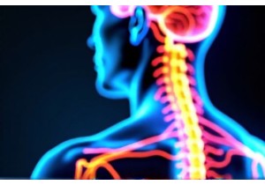 Acupuncture and the Central Nervous System Scientific Insights