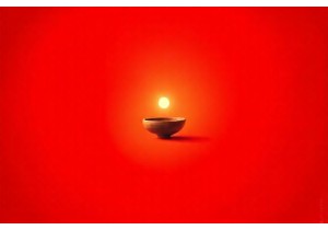 Best Herbs for Yin Deficiency According to TCM