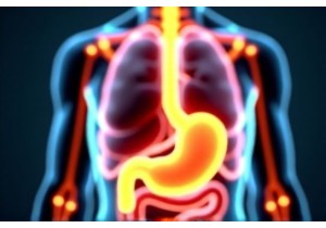 Harmonize the Organs with Formulas That Regulate Interactions According to TCM Principles