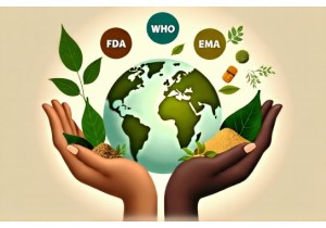 Global Collaboration Strengthens Herbal Medicine Regulations