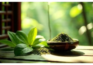 Discover the Power of Traditional Chinese Herbal Medicine for Holistic Health and Wellness Today