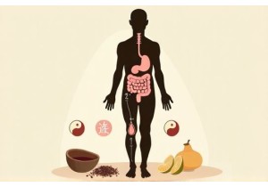 Weight Management Challenges in Phlegm Dampness Type Solved