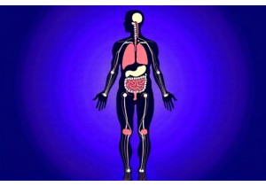 Organ Networks and Interactions in Chinese Medicine