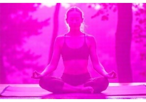 Dao Yin Shiatsu for Releasing Tension Without Equipment