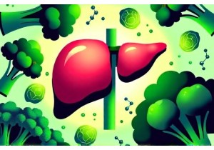 Detoxify the Liver for Better Hormonal Balance Today