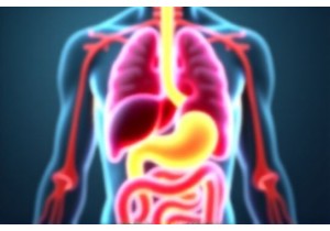 What Is Internal Dampness According to Chinese Medicine