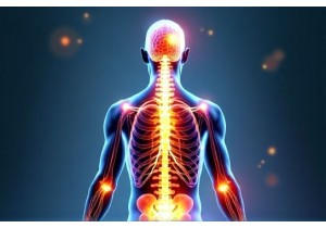Meridian System How Stress Blocks Energy Flow