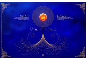 Zang Fu Organ Theory Beyond Anatomy in Huangdi Neijing