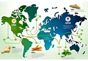 Herb Regulatory Pathways Across US EU and Asian Market Jurisdictions