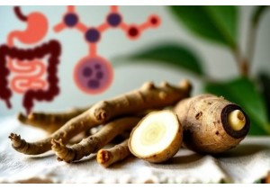 Chinese Herbal Medicines for Digestive Health and Gut Balance