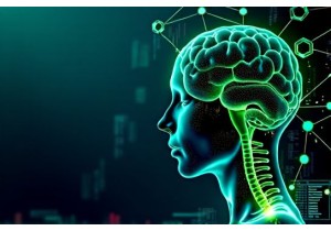 Big Data Applications for Evidence Based Herbal Medicine