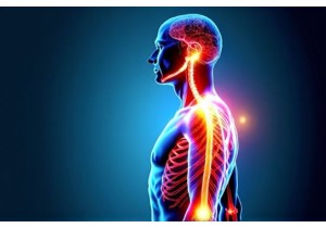 The Meridian System How It Relates To Acupressure And Wellness