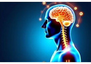 How Acupuncture Works to Activate Endorphins for Natural Pain Control