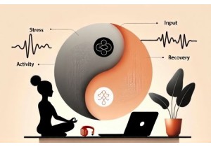 Yin Yang For Beginners Applying Balance Principles To Modern Life