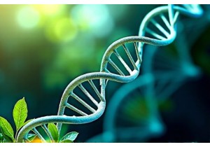 Personalized Herbal Therapy Based on Genomic Insights