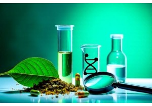 Ensuring Herbal Safety Through Modern Quality Control