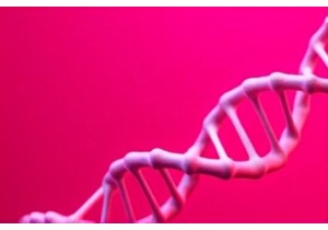 Precision Medicine Approaches in Chinese Herbal Therapy