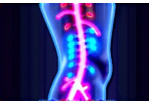 How Acupuncture Works to Improve Blood Circulation and Oxygen Delivery