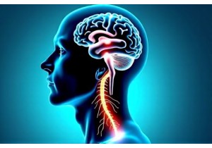 How Acupuncture Works Through Meridian Stimulation and Neurologic Pathways