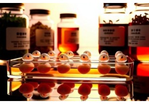 Toxicity Profiling of Commonly Used TCM Herbs Using Zebrafish Models