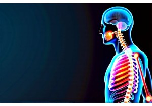 Evidence Based中药 Practice Bridges Tradition and Contemporary Medicine