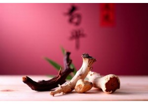 Chinese Herbs for Immune Support According to TCM Principles