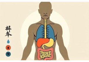San Jiao Function Assessment Through Temperature and Fluid Signs