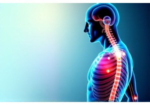 Whole Person Medicine Integration of TCM and Contemporary Care