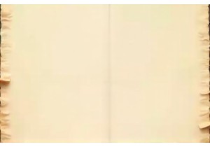 Li Shizhen Contributions to Materia Medica and Medical Thought