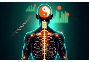 Modernizing Tradition How Classical TCM Philosophy Informs Contemporary Integrative Care