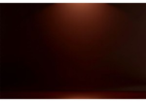 Medicinal Herbs That Support Kidney Function in TCM Practice