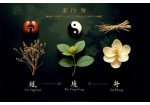 Herbal Medicine Uses for Male Vitality and Reproductive Health in Classical TCM